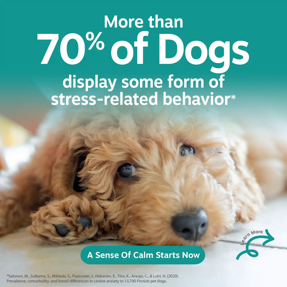 Calming Bites™ for Puppies