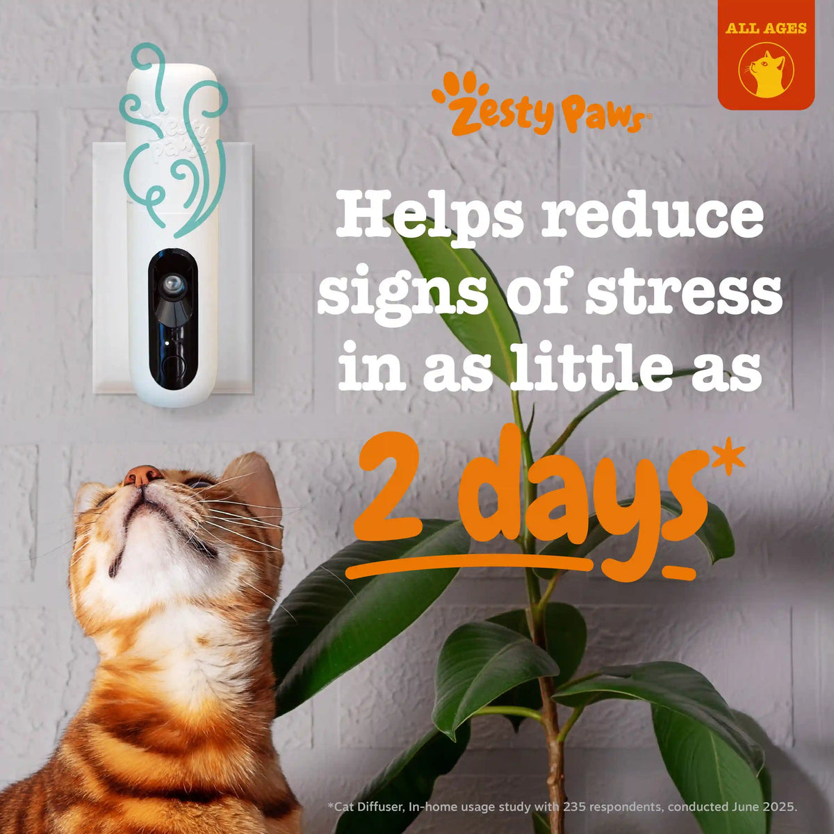 Cat Calming Diffuser Starter Kit