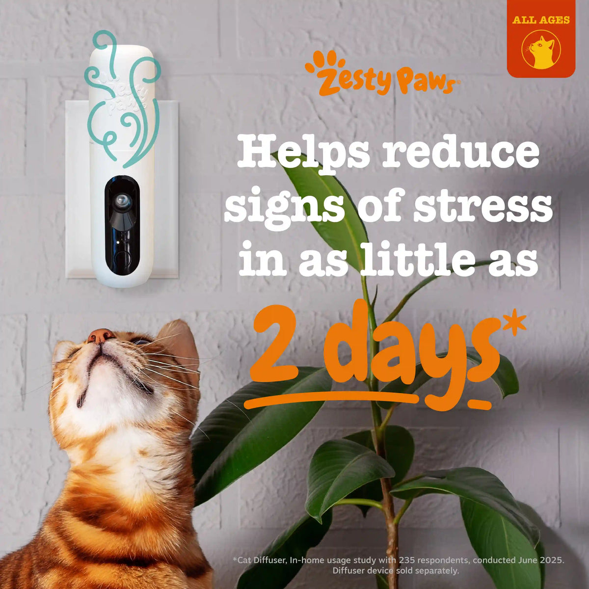 Cat Calming Diffuser Refill